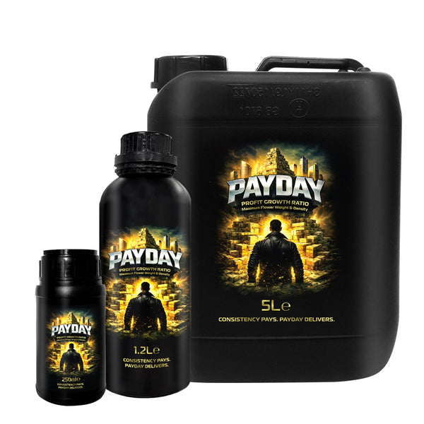 PAYDAY flowering enhancer bottle